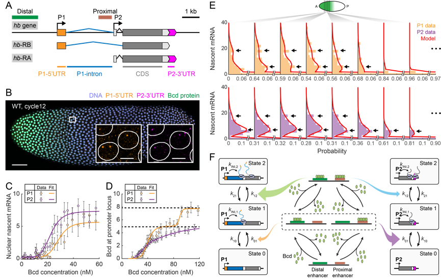 1655259324928214.png 001.png