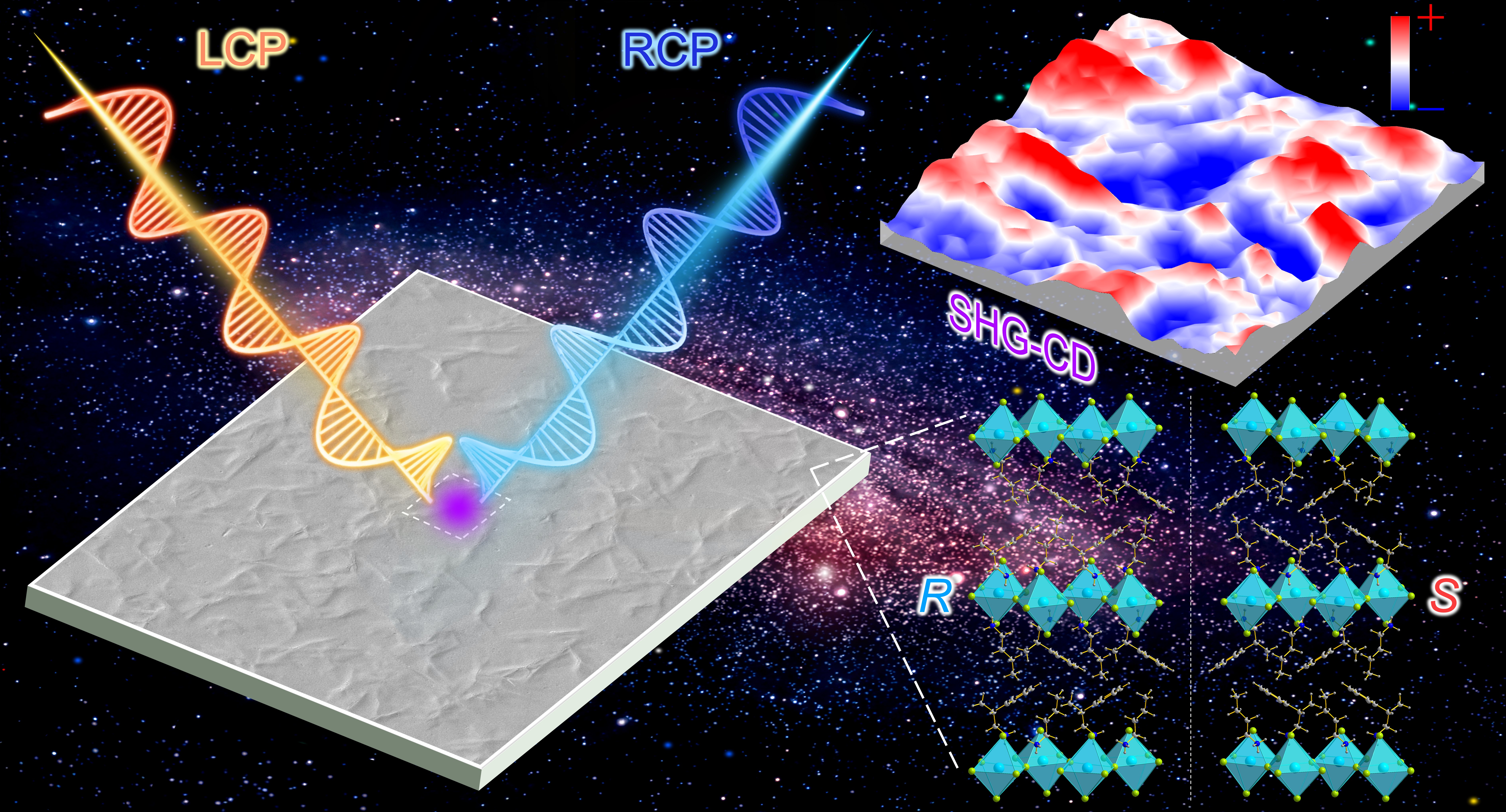 1695026009871926.jpg 1.jpg